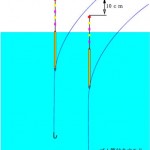 クロダイ（チヌ） 仕掛け