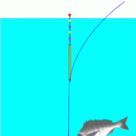 クロダイ（チヌ） 仕掛け