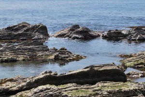 メジナの釣れる磯の形状を知る