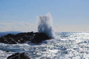 城ヶ島